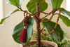 Buddhist Garnet Mala Beads Necklace – Knotted Yoga Prayer Mala for Meditation & Ambition