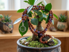 Rudraksha Lapis Lazuli Mala Necklace – Meditation Prayer Beads for Mental Clarity & Energy Healing