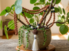 Balance Mala Beads Necklace – Black Onyx, Moonstone & Rudraksha Spiritual Mala