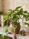 Yellow Citrine & Rudraksha Mala Beads | Handmade Chakra Prayer Necklace