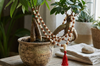 Shiva Shakti Moon Pearl Rudraksha Mala | Yoga & Energy Clearing Beads