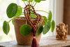 Vedic Yoga Meditation Mala 108 Coral Rudraksha Knotted Buddhist Japamala