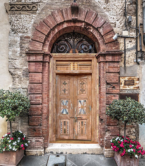 Antique Carved Doors Indo French Sandwash Teak Doors with Surround 98