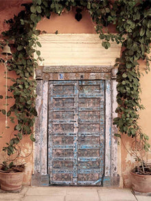  Vintage Pink City Jaipur Door Headboard, Brass Stars, Antique India Door 83x57
