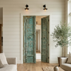 Antique Indian Door Rustic Wooden Double Doors with Brass Trim 