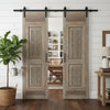 Antique Carved Bedroom Door Distress Blue Floral Barn Door Sliding Doors 