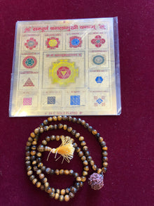  Shree Sampurna Baglamukhi Yantram Sacred Geometry Vedic Symbols Tiger