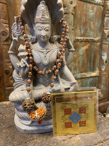  Negate and Nullify Altar - Kaal Sarp Yog Yantra With Rudraksha Mala