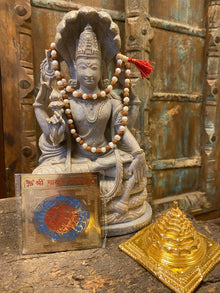  Liberates- Shri gayatri Yantra, Hand Knotted Rudraksha Moon Pearls